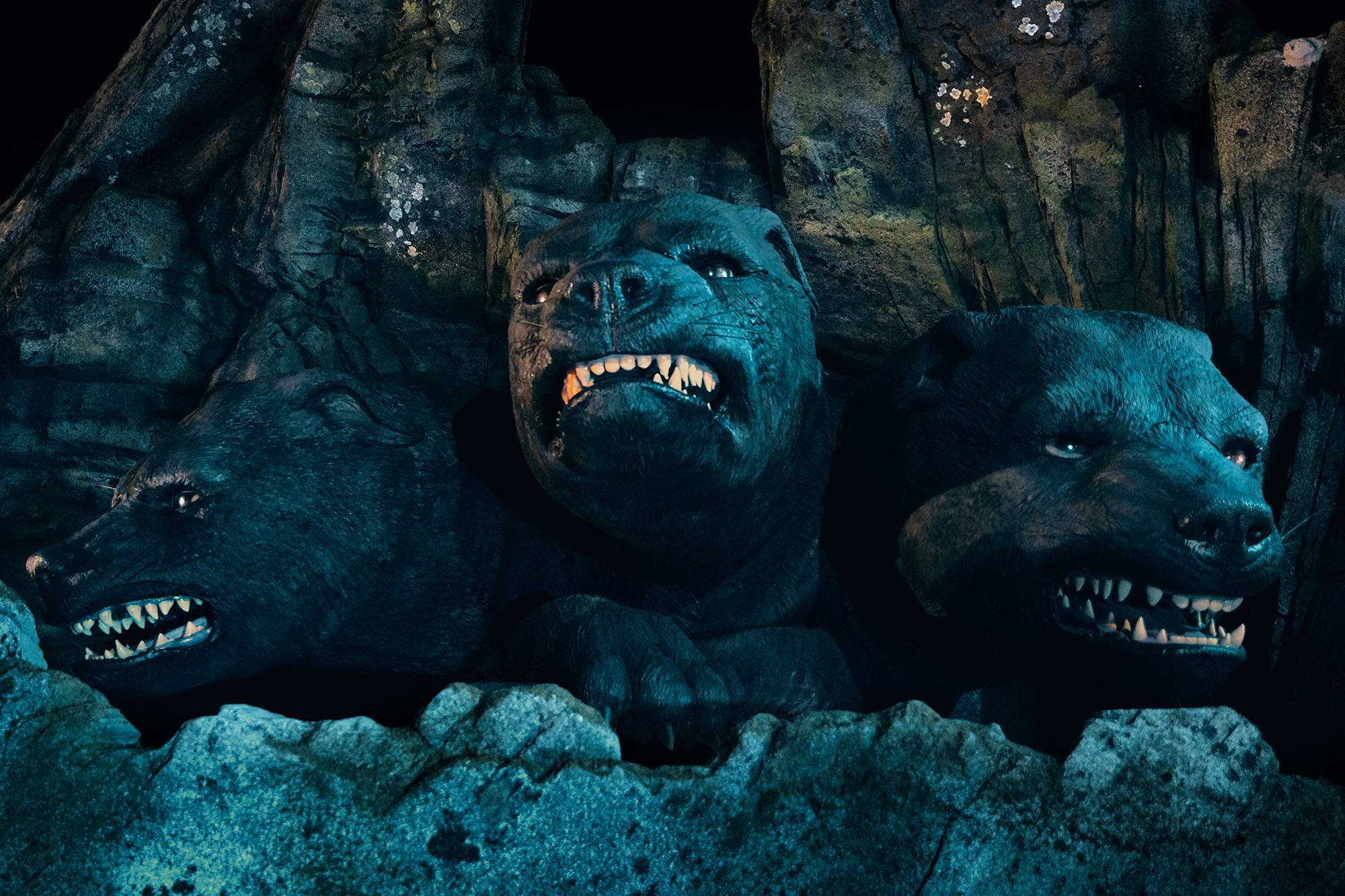 L'enorme animatronic di Fluffy che mangia un osso in una grotta nella Foresta Proibita può essere trovato nell'attrazione Hagrid's Magical Creatures Motorbike Adventure .