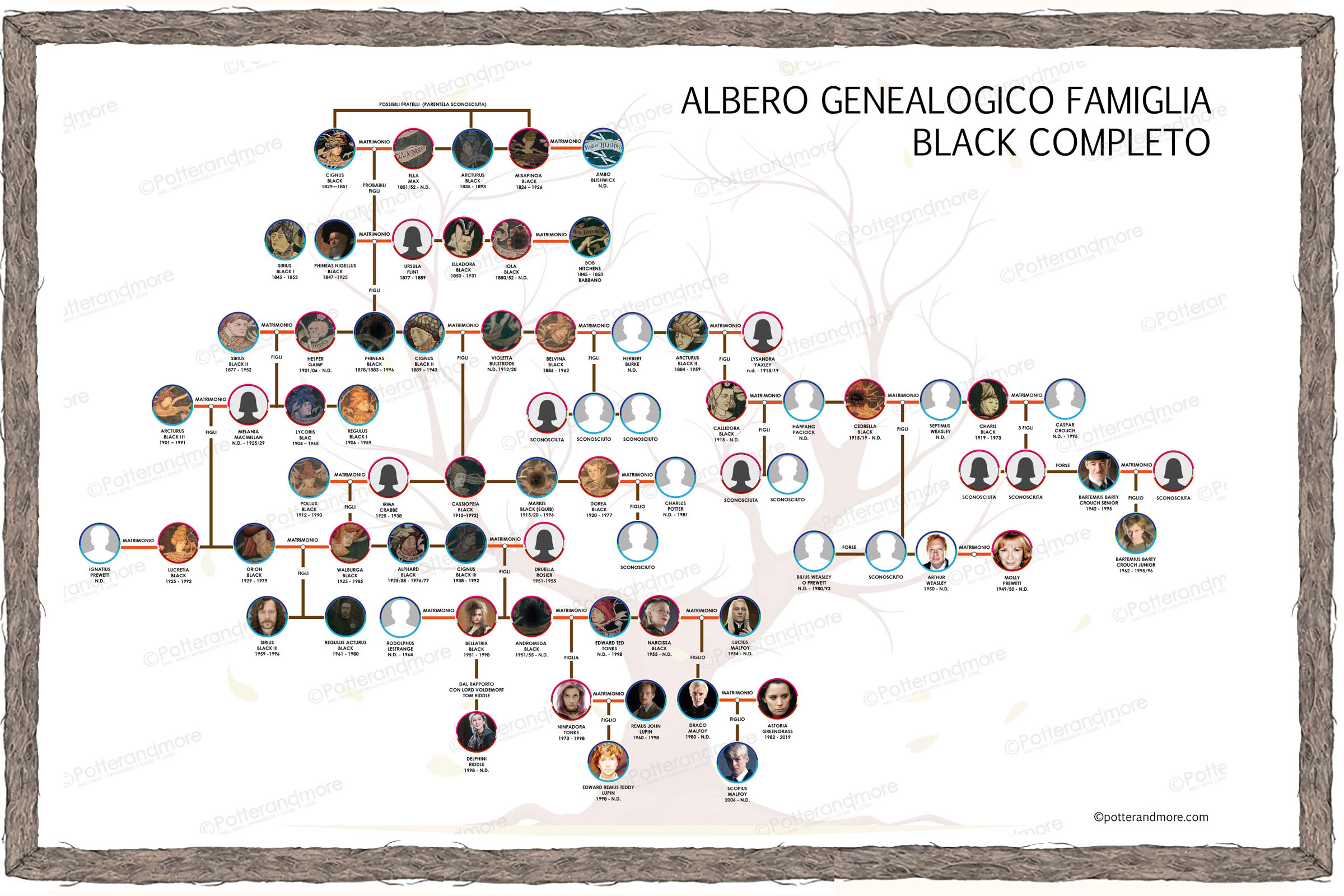 Albero genealogico famiglia Black completo