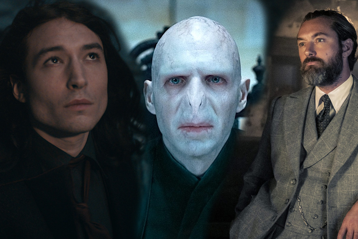 Animali Fantastici: L'assurda "fan theory" che Credence, Voldemort e I Silente siano imparentati.
